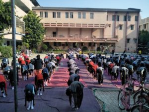 Dayanand-Arya-Kanya-Vidyalay-22-11-19-Inter-School-Yogasan-Competition-training-2019